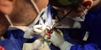 clinica dental especializacion exito